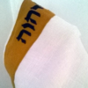 Father of Light Linen Tallit - Image 13